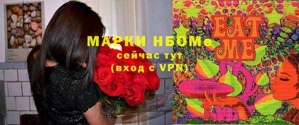 стафф Ельня