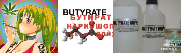 стафф Ельня