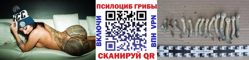 Купить где Рыльск Галлюциногенные грибы Psilocybine cubensis